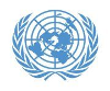 UN Pakistan