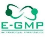 E-GMP INTERNATIONAL CORPORATION