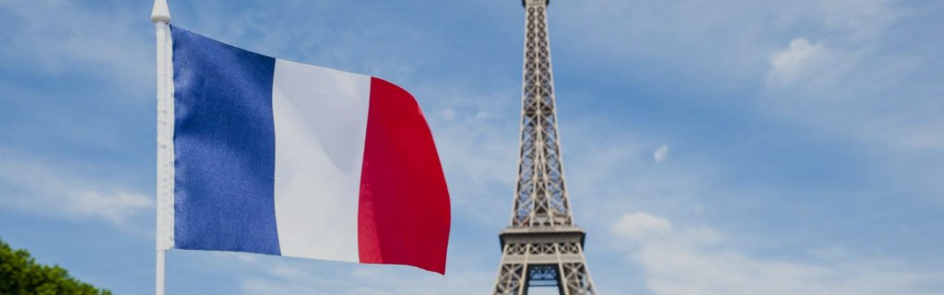 French Scholarships: Pathways to Success and Employment