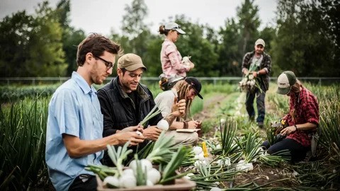 Italy Farm Jobs 