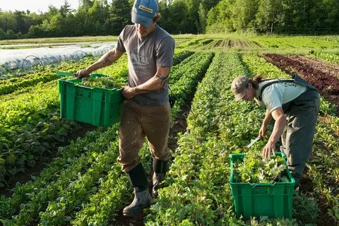 Luxembourg Farm Jobs