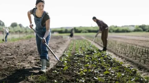 Malta Farm Jobs 
